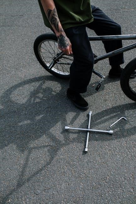 electric bike manual pdf