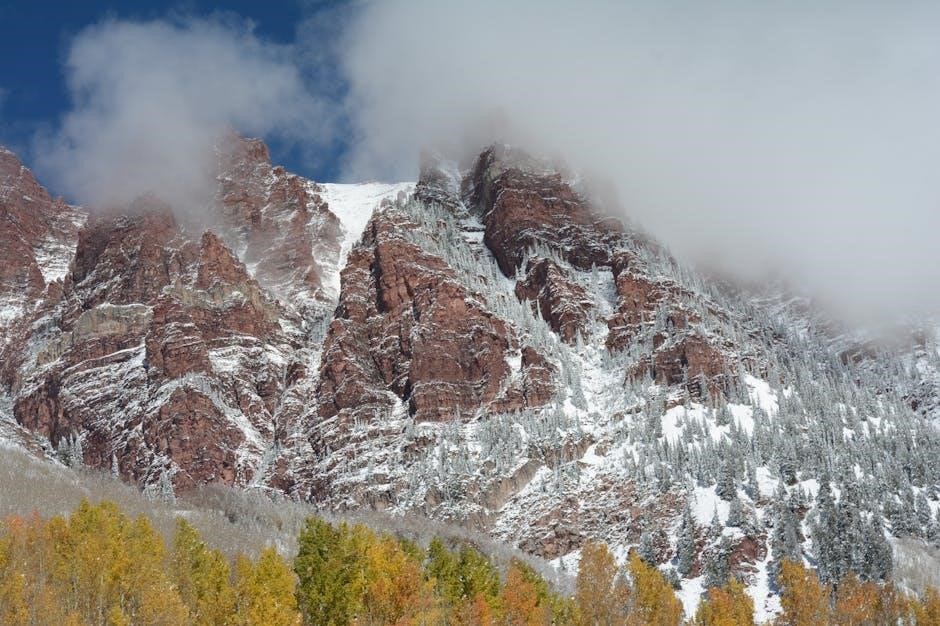 aspen horizon back brace instructions